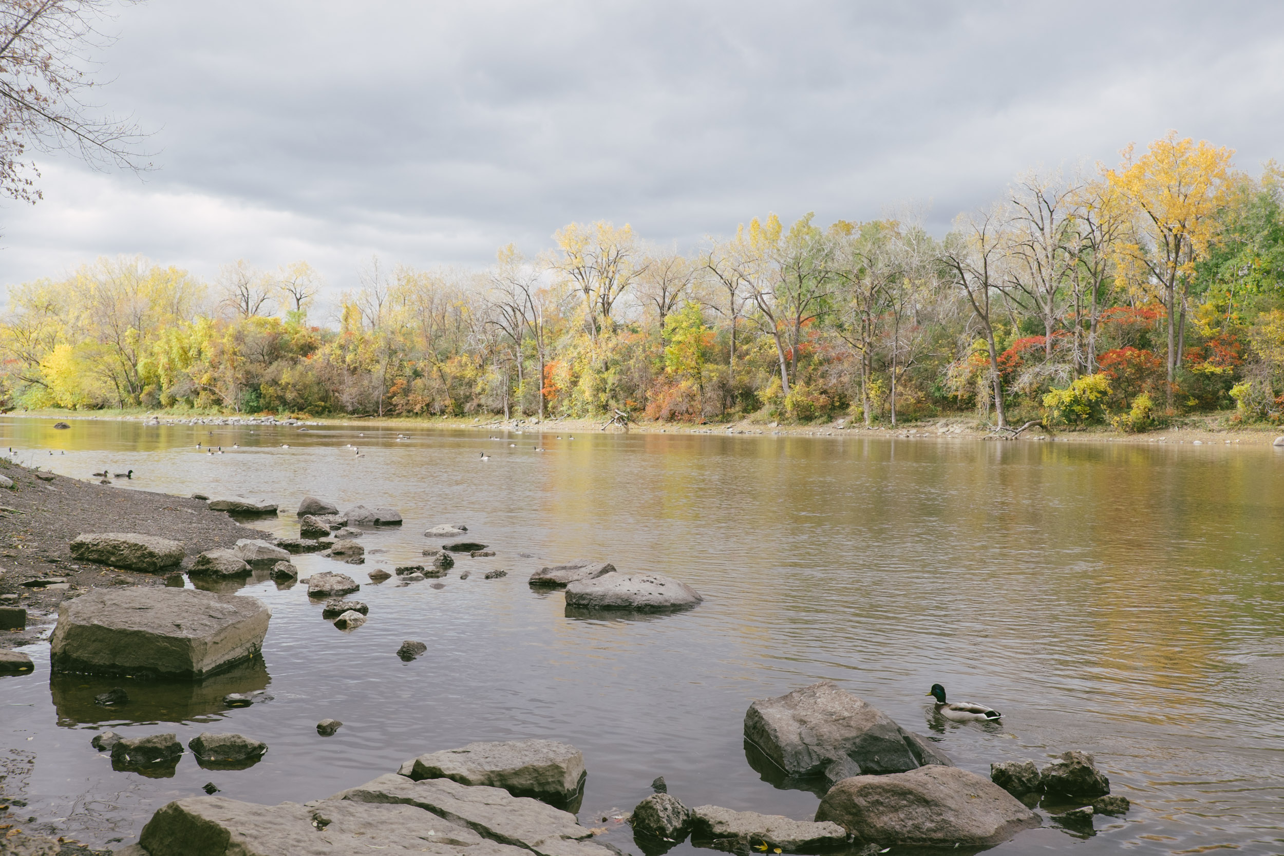 Quartiers de Montréal AhuntsicCartierville